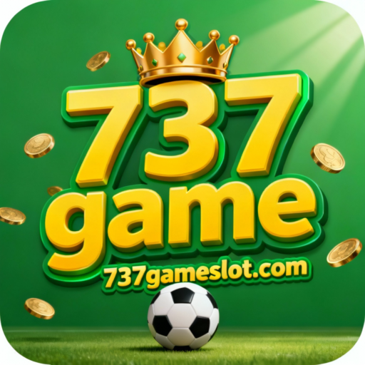 737 game
